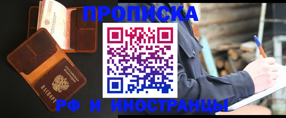 прописка 2025 в Фрязино